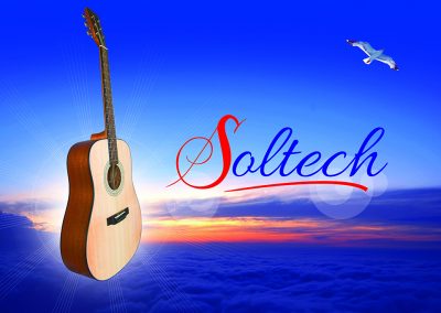 Soltech Guitars
