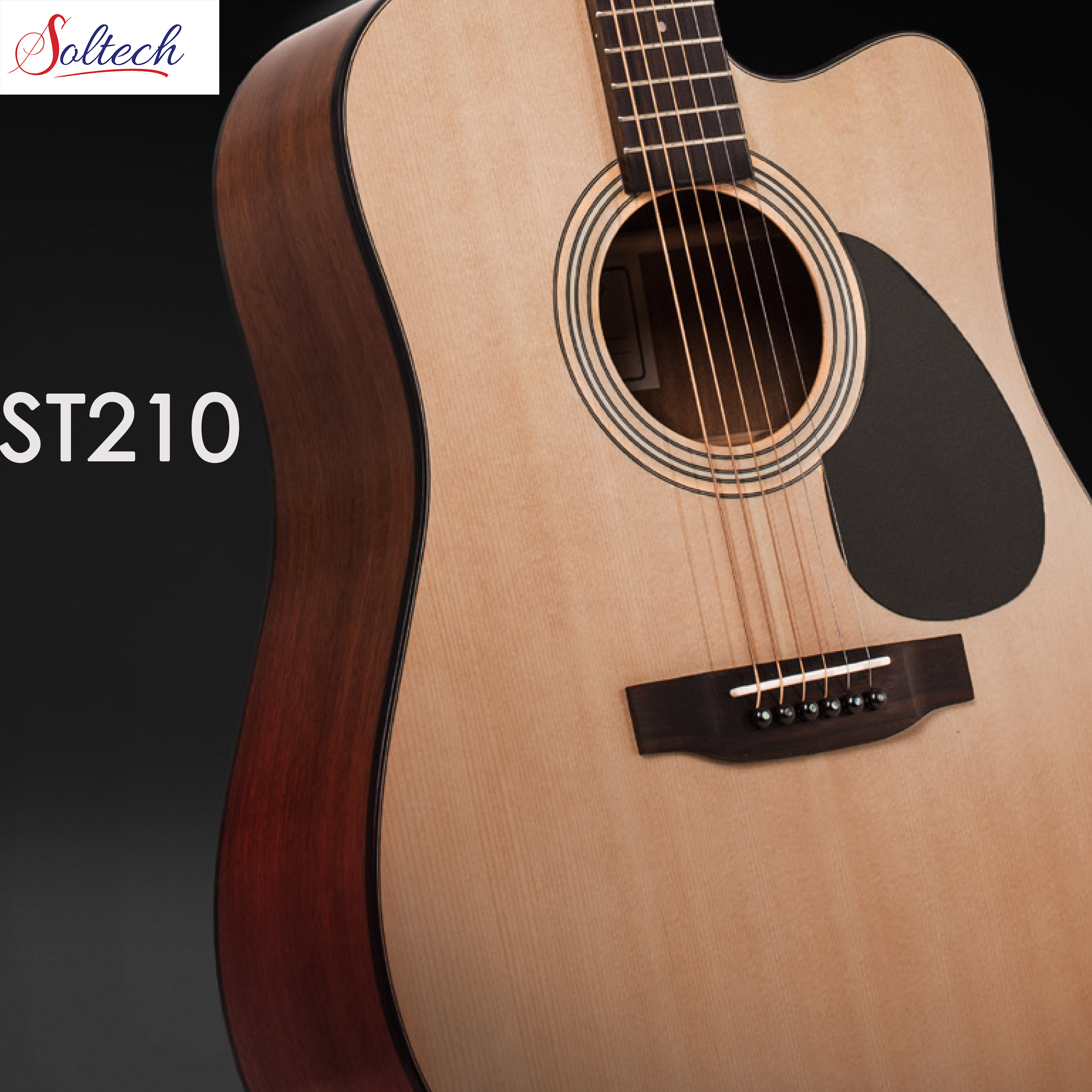ST210 Acoustic Guitar with Sapele wood back - Guizhou Soltech 
