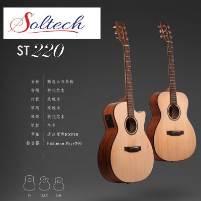 ST220 acoustic Guitar