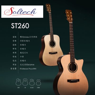 ST260 acoustic Guitar